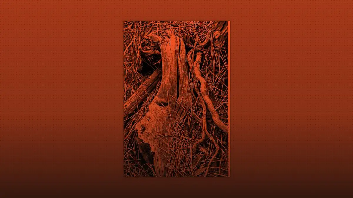 Your Dependency Tree Is Your Attack Surface