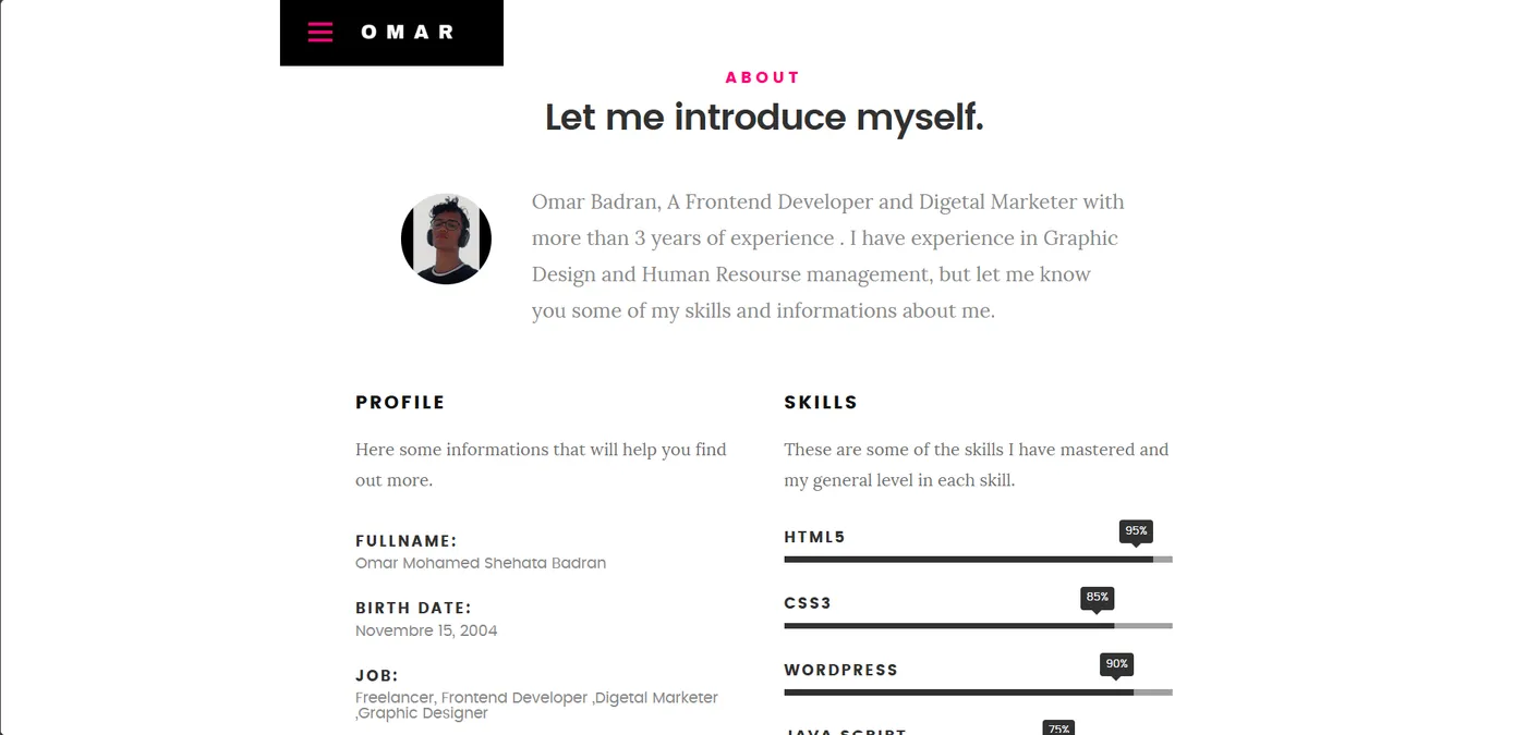 Old Portfolios — project screenshot 3